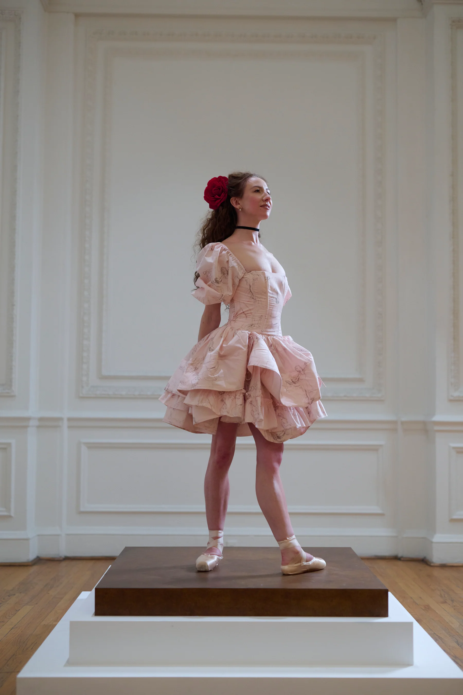 The Sketch Etoile Dress - Image 2
