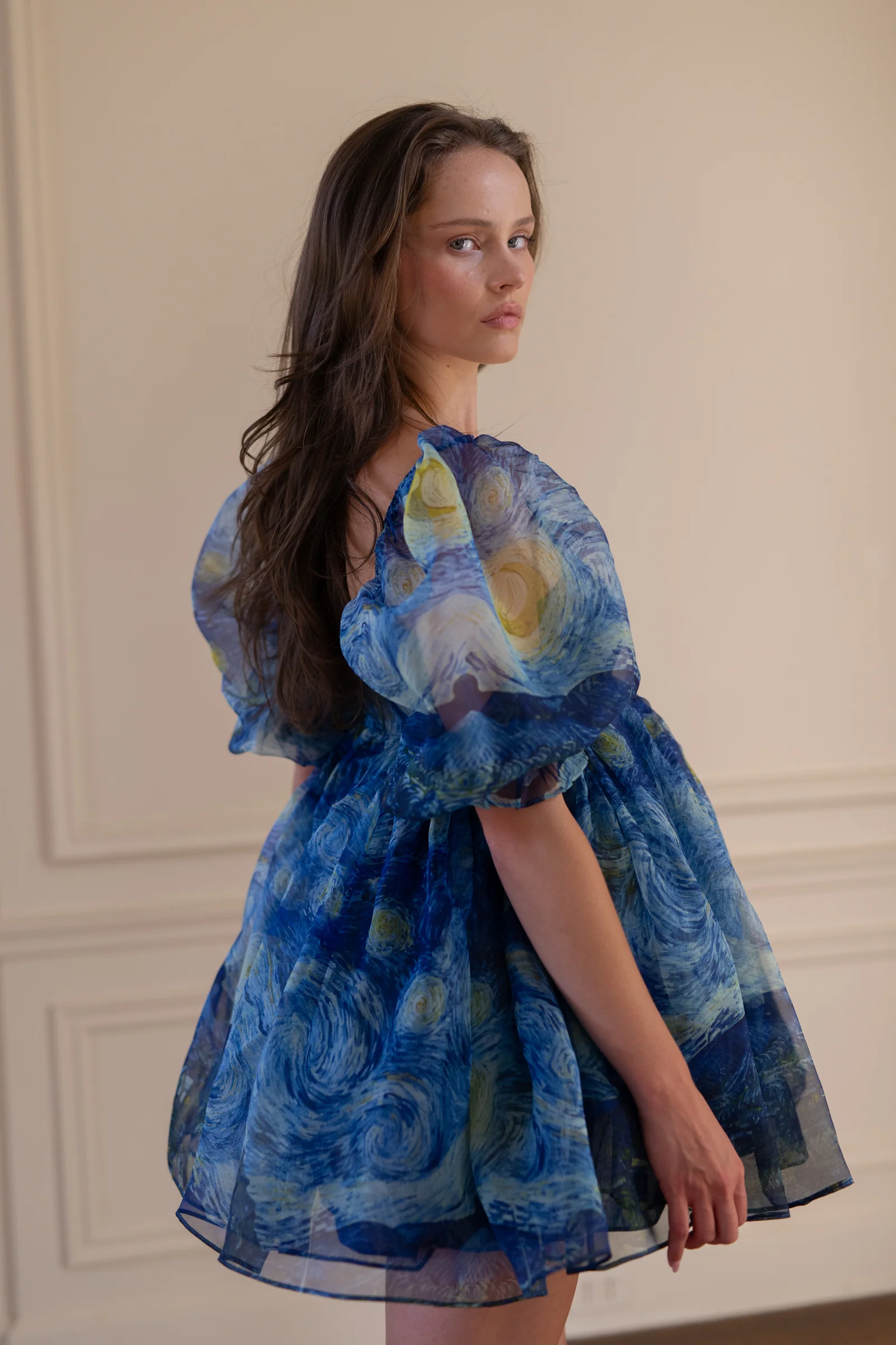 The Starry Night Silk Puff Dress - Image 4